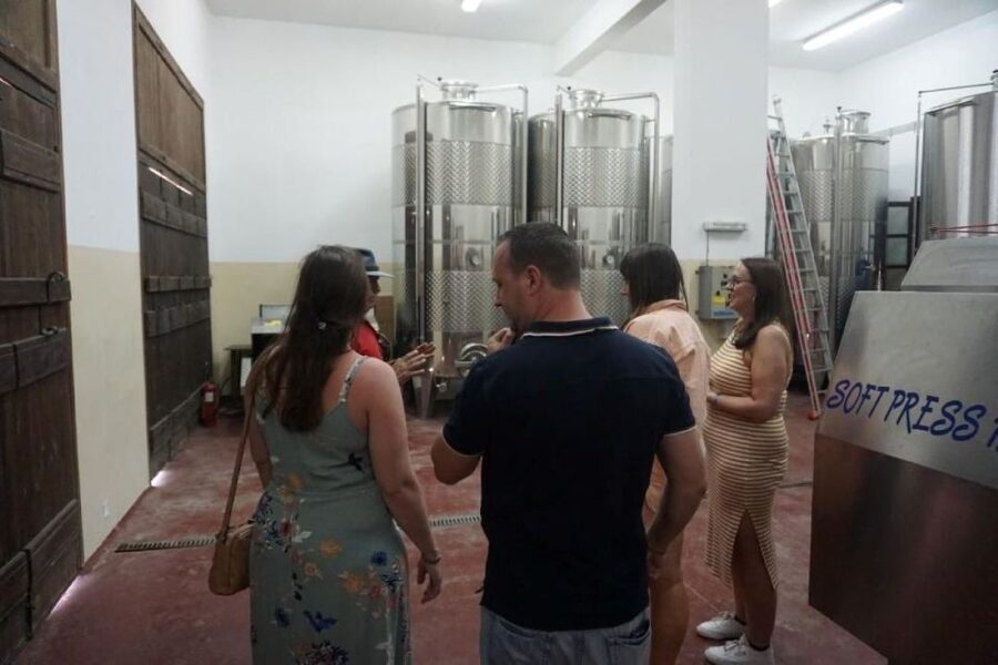 Crete: Full-Day Cretan Wines, Olive Oil, Raki and Food Tour - Practical value at $141 per person