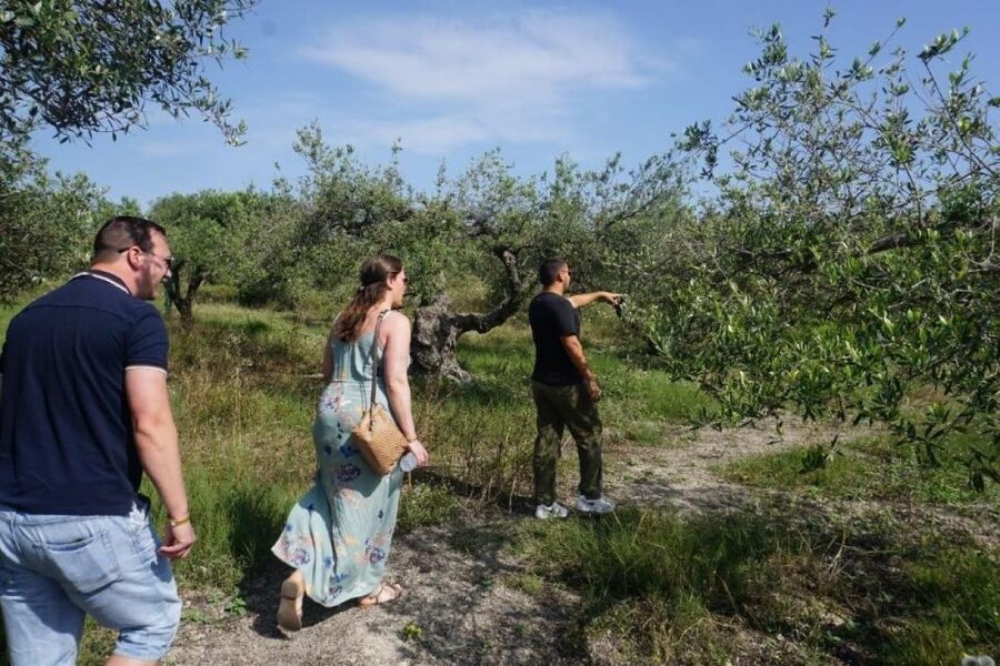 Crete: Full-Day Cretan Wines, Olive Oil, Raki and Food Tour - Thrapsano pottery and a hands-on finish