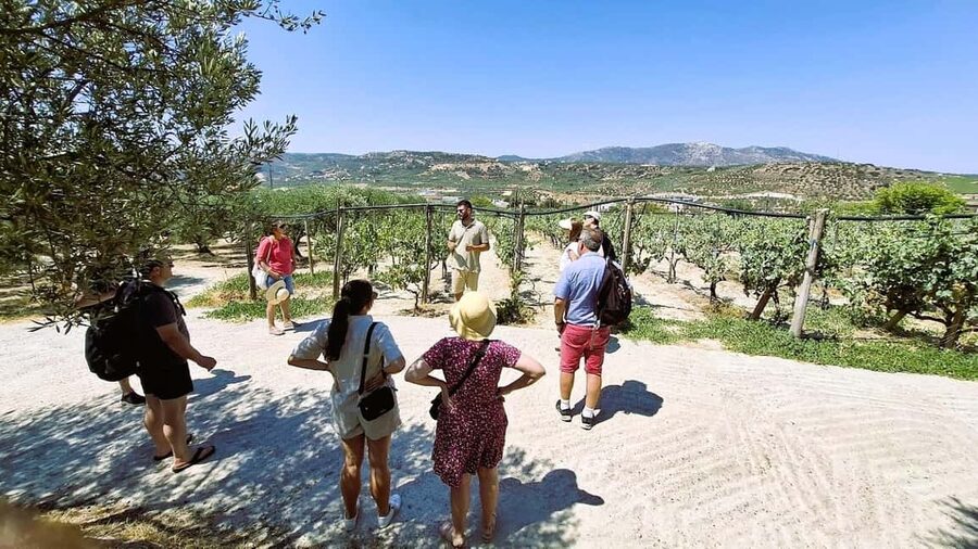 Crete: Knossos Palace, Winery & Olive Oil Tour with Lunch - Cretan wine and olive oil in the countryside