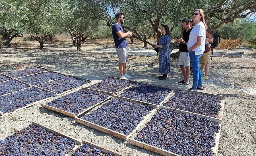 Crete: Knossos Palace, Winery & Olive Oil Tour with Lunch - Should you book it?