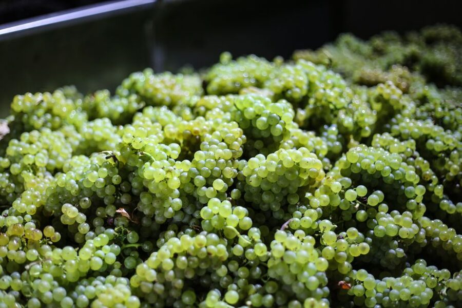 Crete: Olive, Wine, & Raki on a Flavorful Culinary Journey - Why this Cretan food tour works