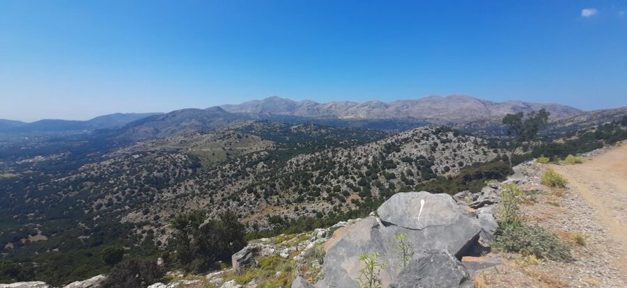 Crete: Olive, Wine, & Raki on a Flavorful Culinary Journey - The winery and the taste of Cretan grapes