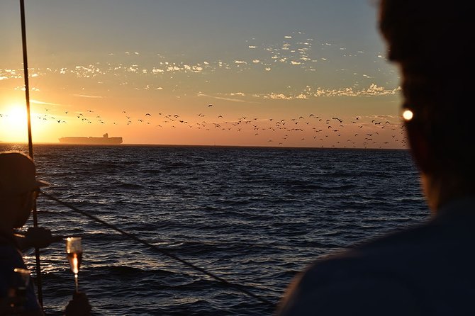 Cruise and Dine Dinner / Cape Town: Sunset Champagne Cruise and 3-Course Dinner - Ninety minutes beneath Table Mountain