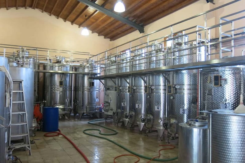 Cyprus: Troodos Mountain Wine Tour with a Local - The surprise stop and the value of flexibility
