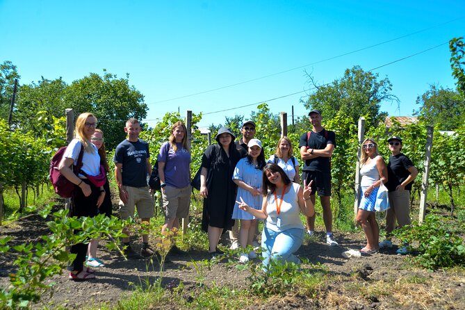 Day Trip to Kakheti Wine Region Including 9 Wine Tastings - The family cellar and Georgia’s qvevri tradition