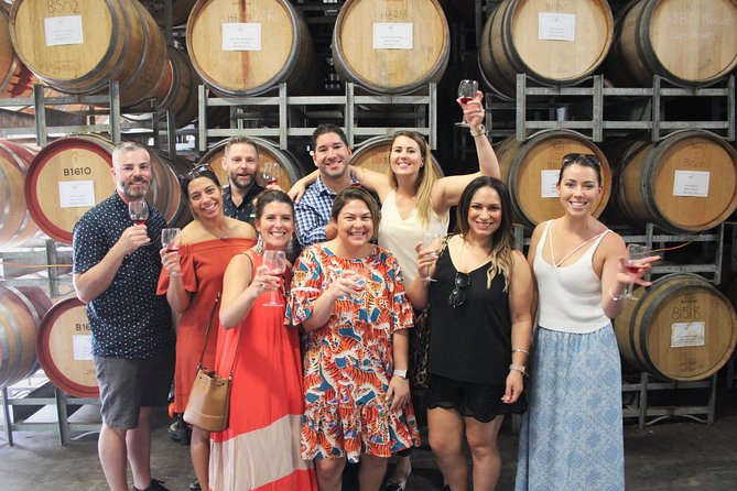 Deluxe Wine Tour to Tamborine Mountain, includes two course lunch - Witches Falls Winery starts the tasting
