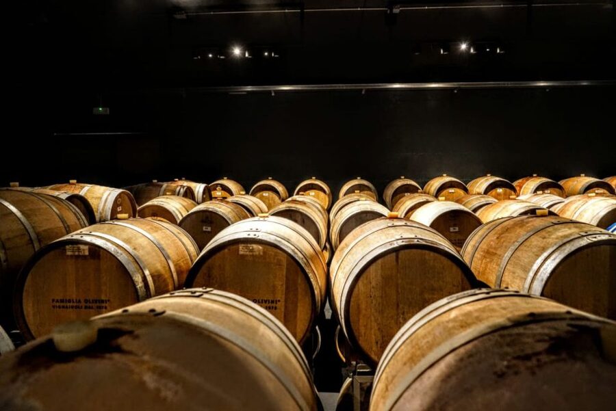 Desenzano: Lugana Wine-Tasting and Vineyard Tour - Four wines, with occasional extras