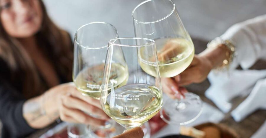 Desenzano: Lugana Wine-Tasting and Vineyard Tour - The vineyard walk and sustainable farming
