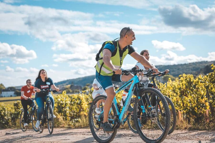 Dijon: Bike tour and Tastings in the Vineyards of Burgundy - Key points to know before you book