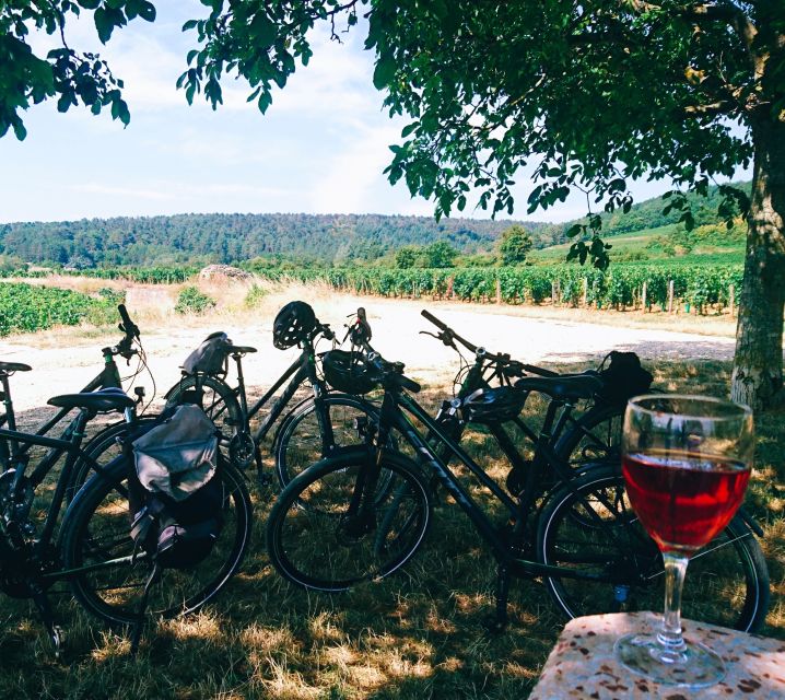 Dijon: Bike tour and Tastings in the Vineyards of Burgundy - Riding into the Côte de Nuits from Chenôve