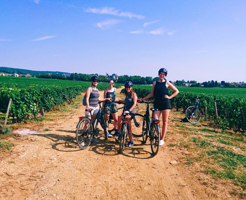 Dijon: Bike tour and Tastings in the Vineyards of Burgundy - What the ride feels like over three hours