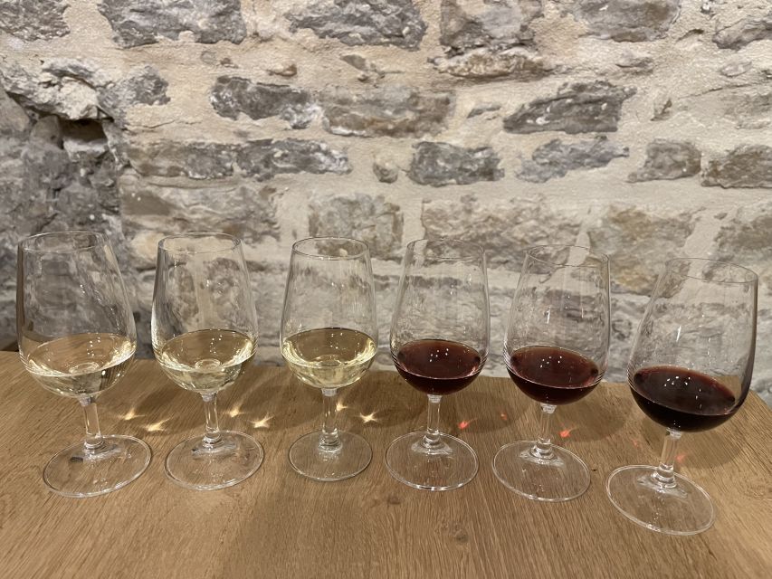 Dijon: Cheese and Burgundy Wine Tasting Workshop - What happens during the 45-minute tasting