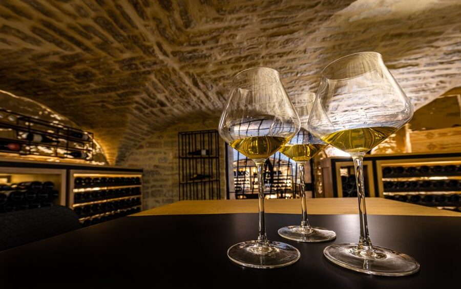 Dijon: La Cave du Palais Burgundy Wine Tasting Experience - Key points at a glance