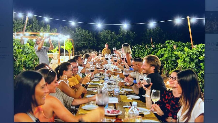 Dinner in the vineyard and wine tasting under the stars - Key points at a glance