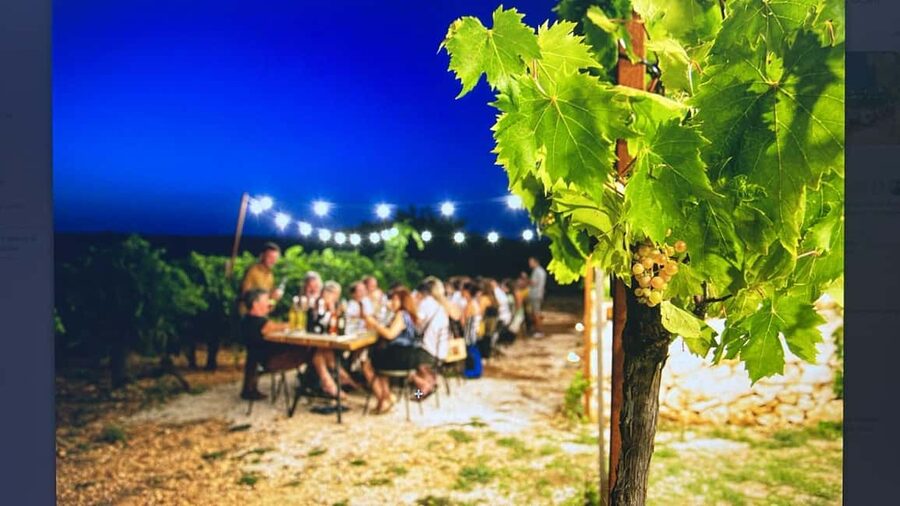 Dinner in the vineyard and wine tasting under the stars - Dinner at Vigna il Castagno, Apulia