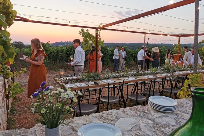 Dinner in the vineyard with wine tasting and walk - Why this vineyard dinner feels different