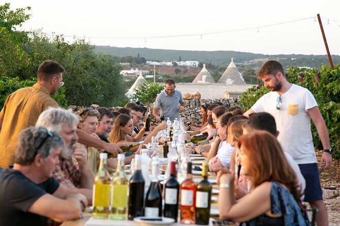 Dinner in the vineyard with wine tasting and walk - Handmade orecchiette and traditional bombette