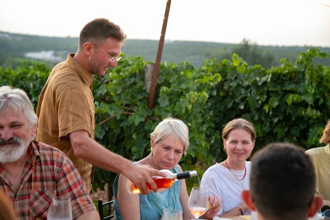Dinner in the vineyard with wine tasting and walk - The social side of a long shared table
