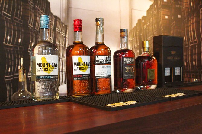 Discover Rum Barbados Tour - Who will enjoy this tour most?