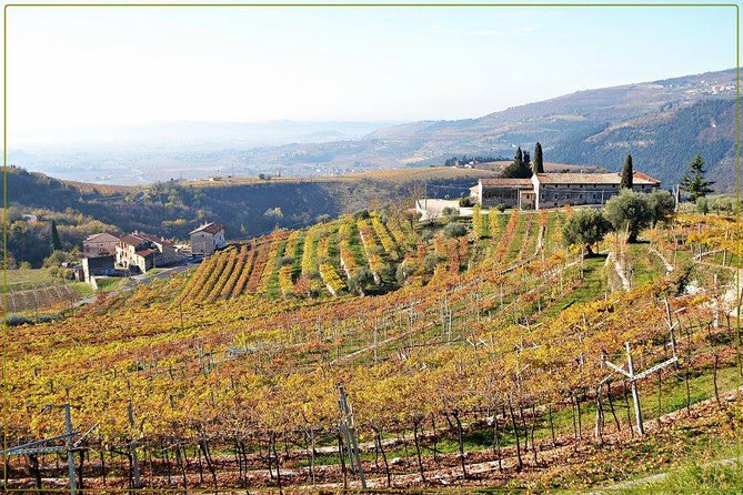Discover Valpolicella Vineyards and Wine Tasting Experience - Who will enjoy this experience most