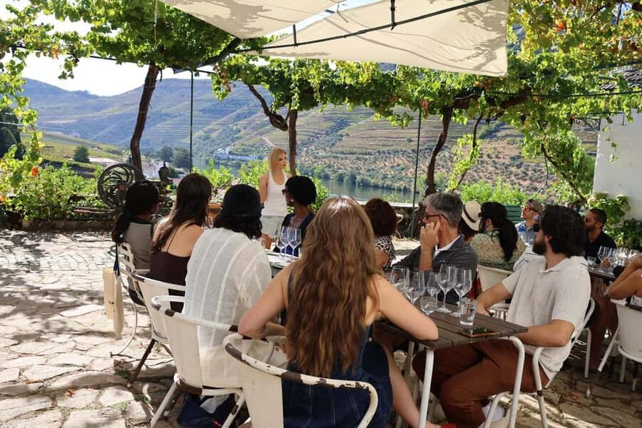 Douro Valley: Half-Day, with 1 winery & 1-h boat tour - The guide can shape the whole day