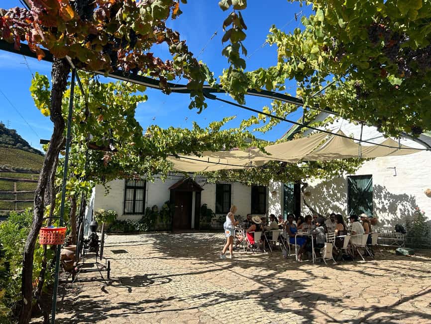 Douro Valley: Half-Day, with 1 winery & 1-h boat tour - My practical verdict
