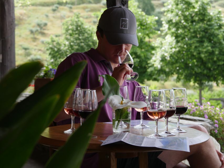 Douro Valley: Premium Port Tasting Winery Tour & River Views - A compact winery visit between Régua and Pinhão