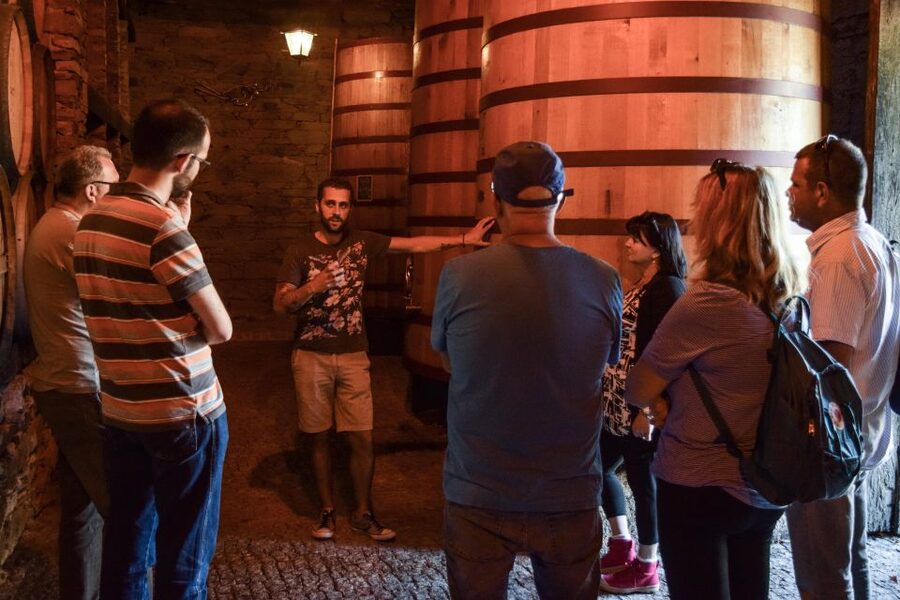 Douro Valley: Premium Port Tasting Winery Tour & River Views - Is $34 a fair price?