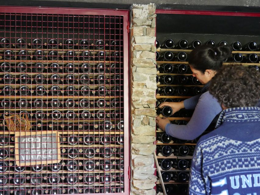 Douro Valley: Premium Port Tasting Winery Tour & River Views - Starting with Port and DOC wine