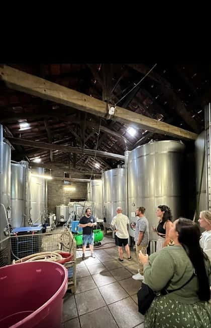 Douro Valley: Small-Group Tour, Winery's Lunch, Private Boat - The first family winery and traditional wine-making