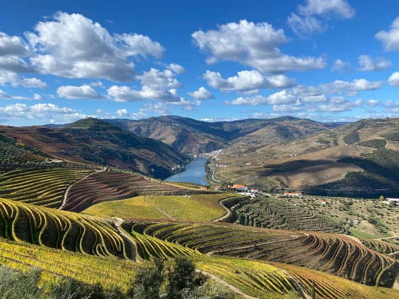 Douro Valley: Small-Group Tour, Winery's Lunch, Private Boat - The private Douro River cruise