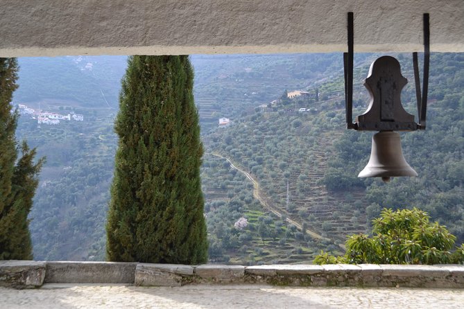 Douro Valley Tour: 2 Vineyard Visits, River Cruise, Winery Lunch - Sabrosa, cellar wine, and a serious Portuguese lunch