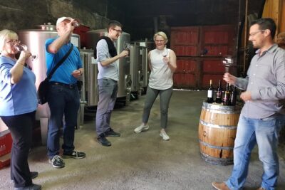 Douro Valley Tour: 2 Vineyard Visits, River Cruise, Winery Lunch