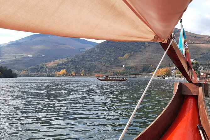 Douro Valley Tour - 3 Wine tastings, Lunch & river Cruise - Scenic roads reveal the Douro between stops