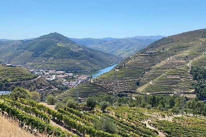 Douro Valley Tour - 3 Wine tastings, Lunch & river Cruise - What the price includes, and where the value lies