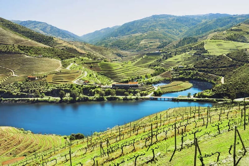 Douro Valley Tour: Visit 2 Wineries, Lunch & River Cruise - Key points at a glance