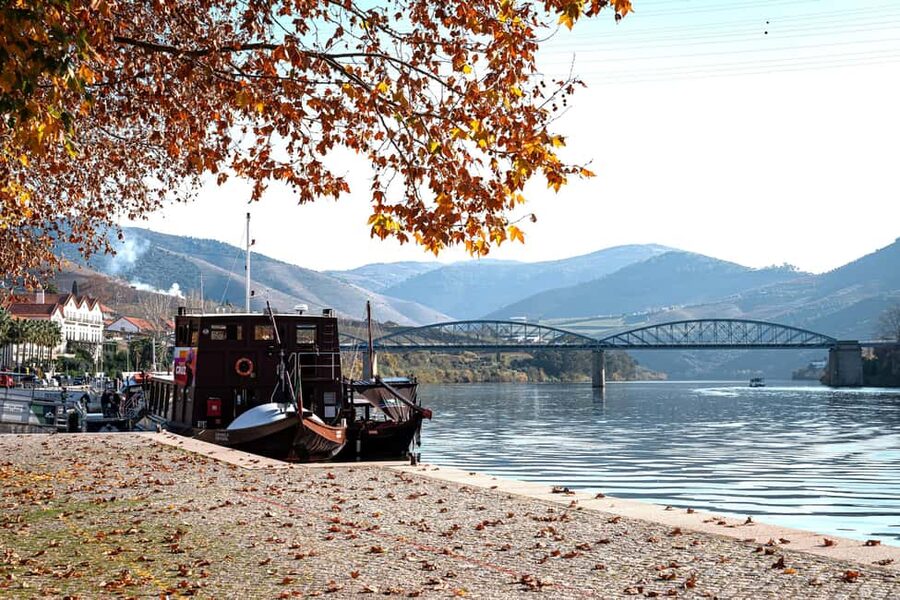 Douro Valley Tour: Visit 2 Wineries, Lunch & River Cruise - The drive into wine country