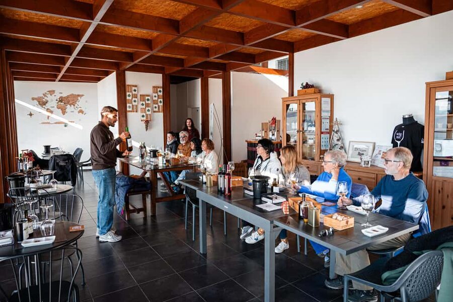 Douro Valley Tour: Visit 2 Wineries, Lunch & River Cruise - Two estates, two sides of Douro wine