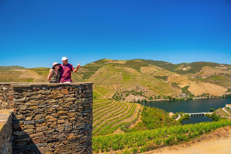 Douro Valley Tour: Visit 2 Wineries, Lunch & River Cruise - The N222 return and the final viewpoints
