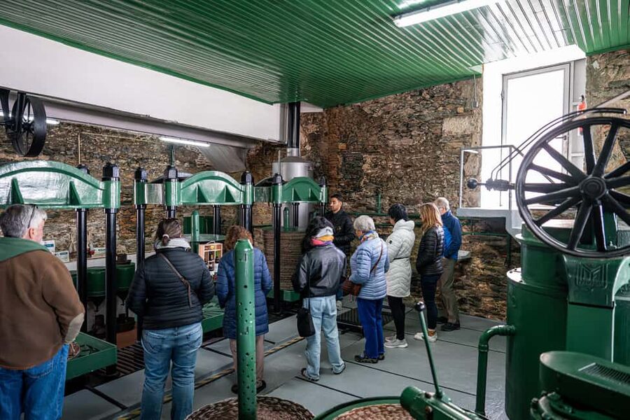 Douro Valley Tour: Visit 2 Wineries, Lunch & River Cruise - What makes the guides important