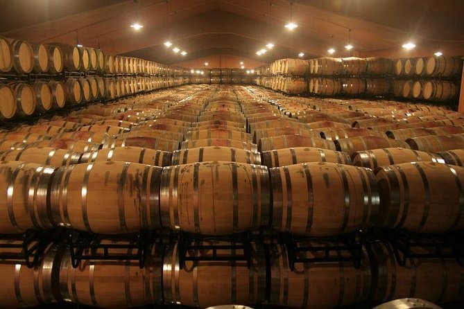 Douro Valley Tour: Wine Tasting, Cruise and Lunch from Porto - Why the Douro Valley is worth a full day from Porto