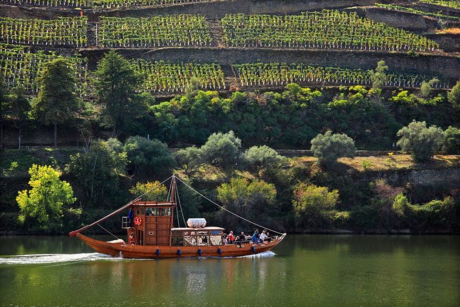 Douro Valley Tour: Wine Tasting, Cruise and Lunch from Porto - What the two port tastings add