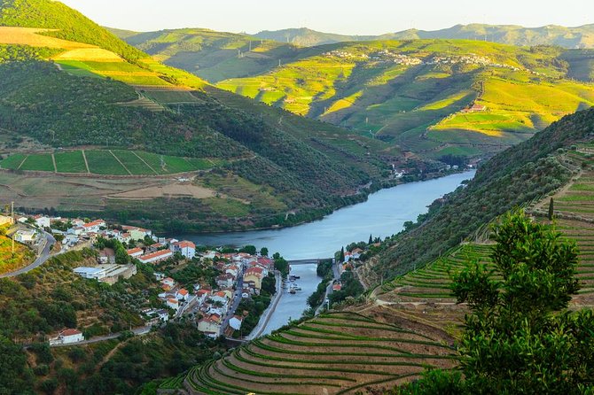 Douro Valley Tour: Wine Tasting, Cruise and Lunch from Porto - Lunch beside the river
