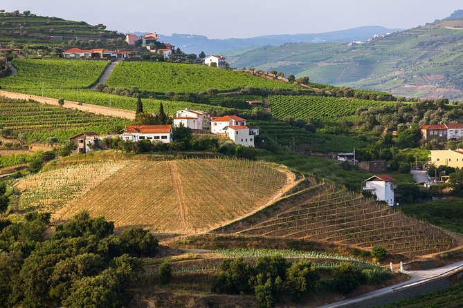 Douro Valley Tour: Wine Tasting, Cruise and Lunch from Porto - How the price compares with doing it yourself