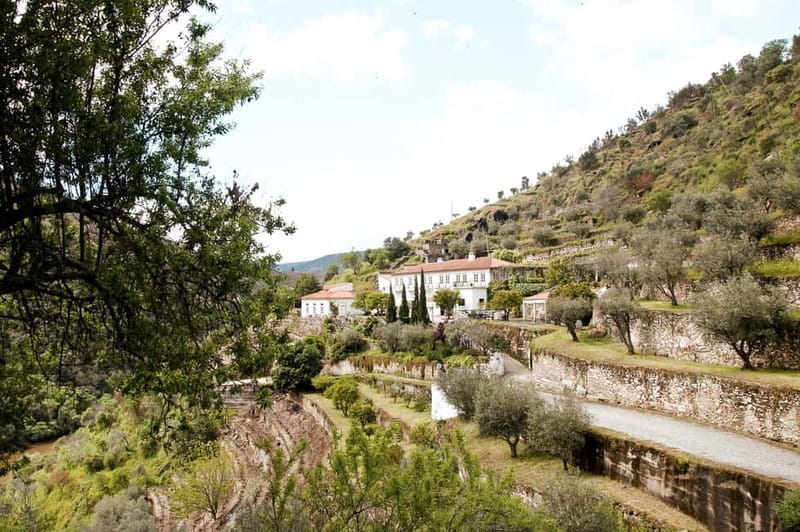 Douro Valley: Tour with Wine Tastings, Lunch, and Boat Ride - Who should book this day?