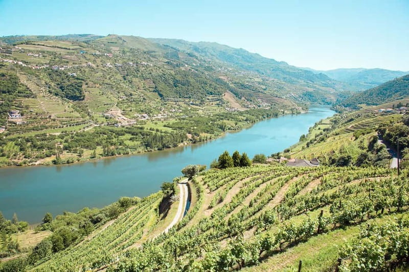 Douro Valley: Tour with Wine Tastings, Lunch, and Boat Ride - Port, cheese, and the first wine estate