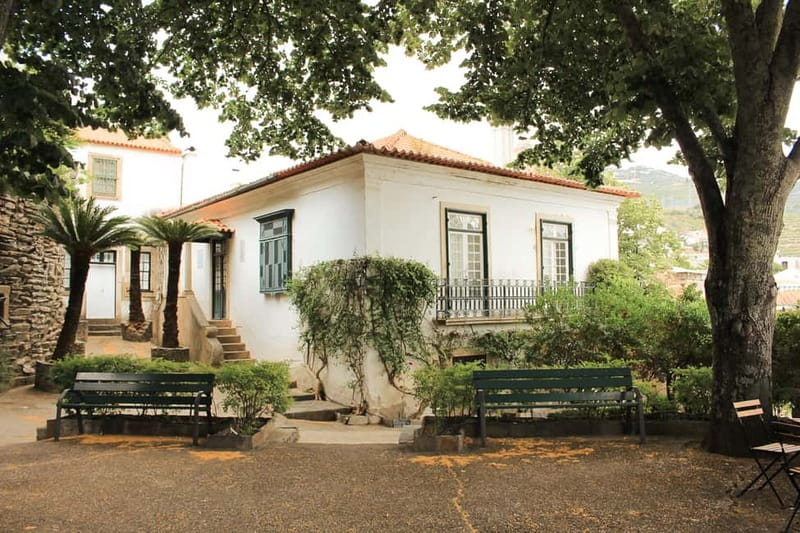 Douro Valley: Tour with Wine Tastings, Lunch, and Boat Ride - Lunch at a typical Portuguese restaurant
