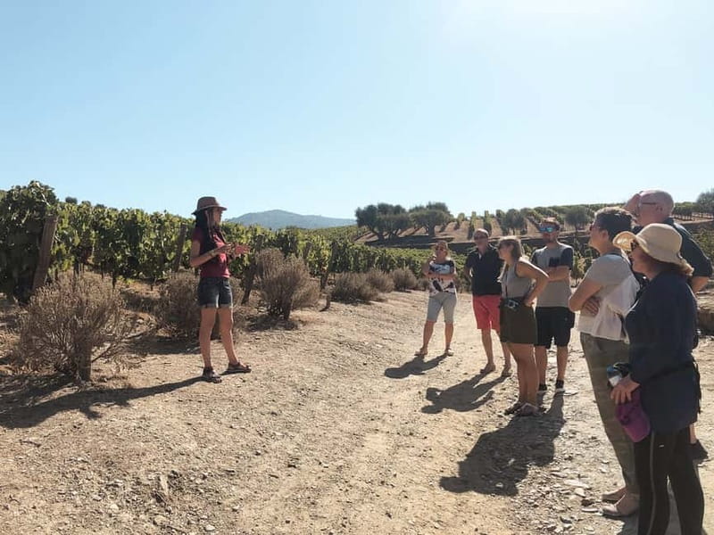 Douro Valley: Tour with Wine Tastings, Lunch, and Boat Ride - The second estate and table wine tasting