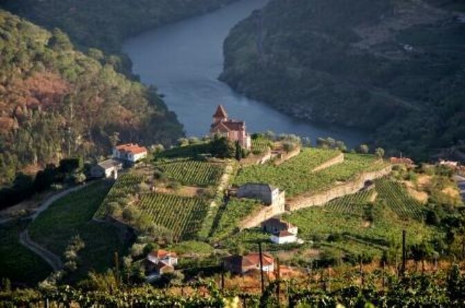 Douro Valley Wine Tour: 3 Vineyard Visits, Wine Tastings, Lunch - Why this Douro day works so well