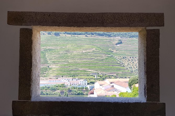 Douro Valley Wine Tour: 3 Vineyard Visits, Wine Tastings, Lunch - Leaving Porto early for the Douro